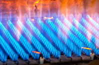 Twelve Oaks gas fired boilers